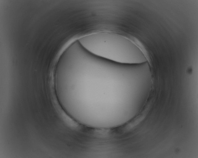X0000095530859200712140933