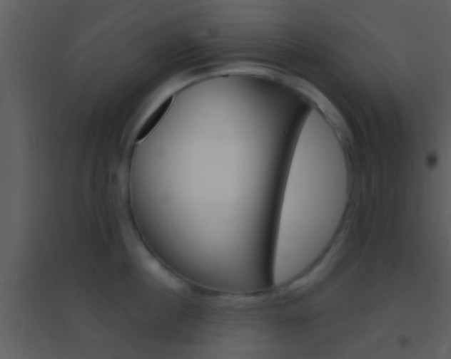 X0000095530860200712140933
