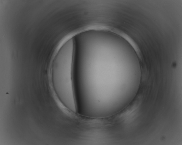 X0000095530861200712140933