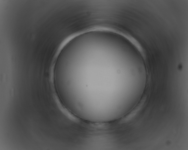 X0000095530862200712140933