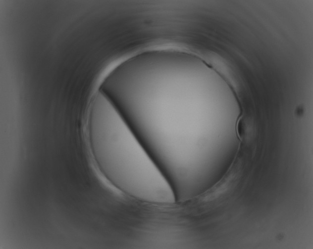 X0000095530863200712140933