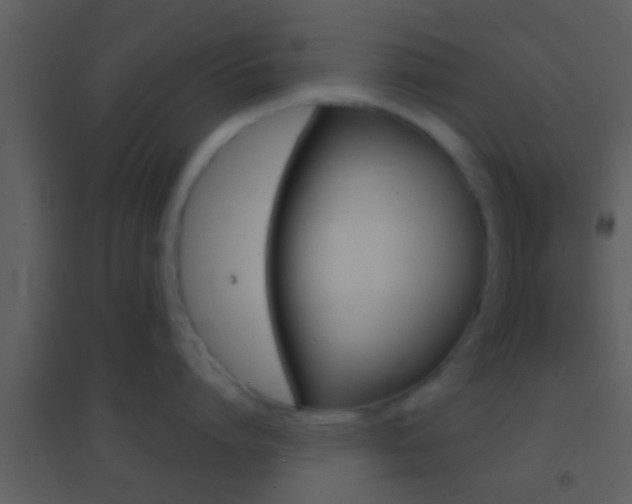 X0000095530864200712140933