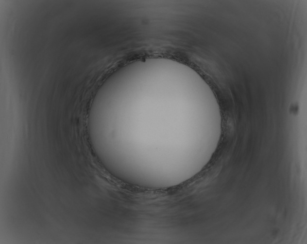X0000095530865200712140932