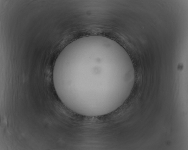 X0000095530866200712140932