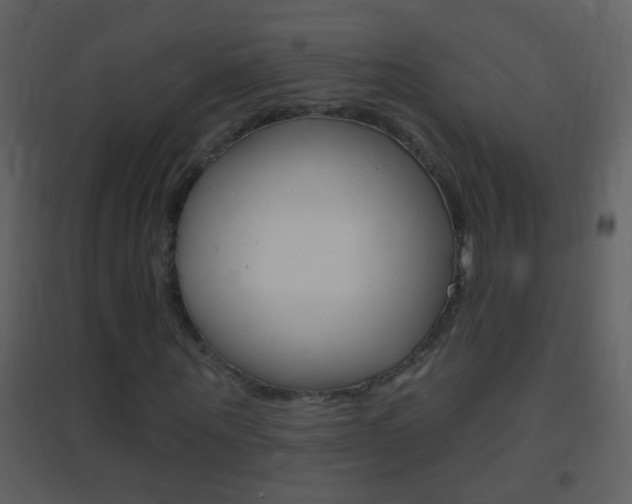 X0000095530867200712140932