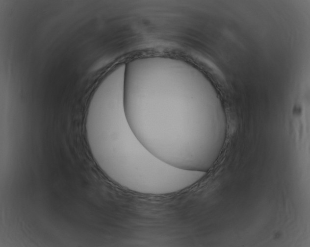 X0000095530869200712140932