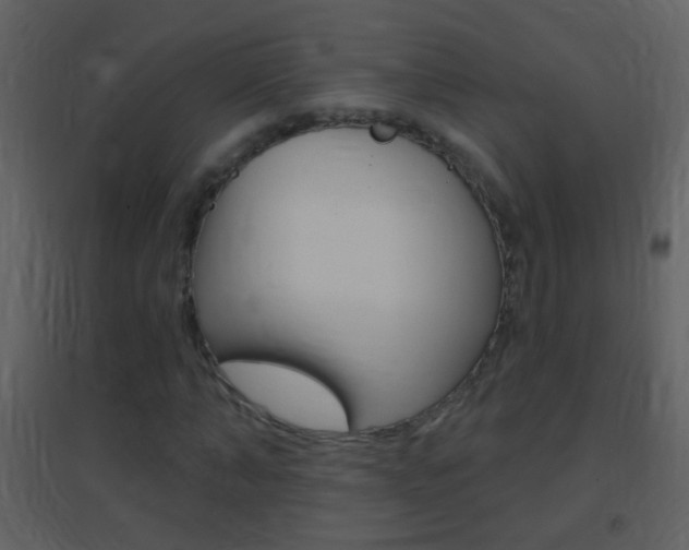 X0000095530870200712140932