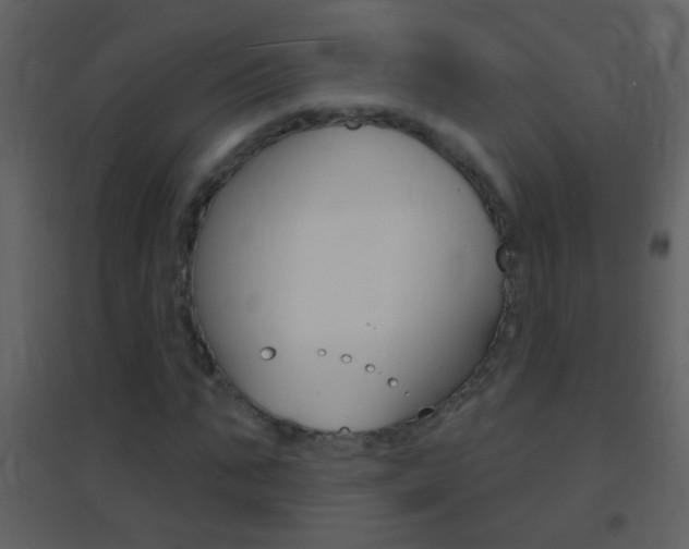 X0000095530871200712140932