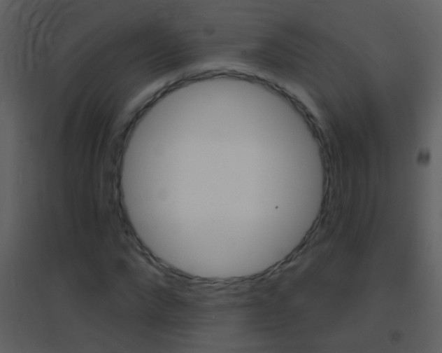 X0000095530872200712140932