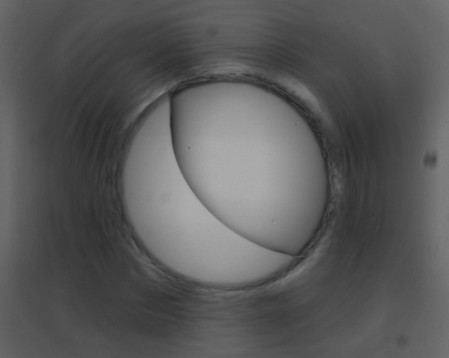 X0000095530873200712140932