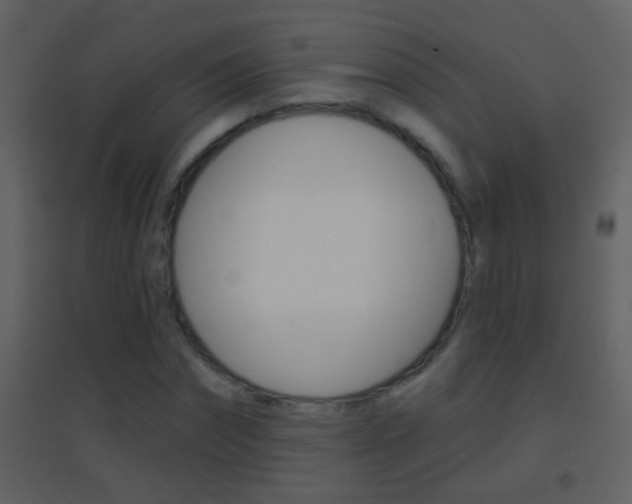 X0000095530874200712140932