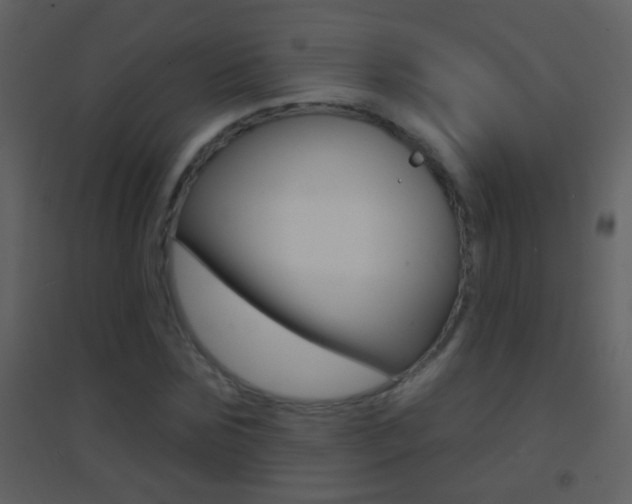 X0000095530875200712140932