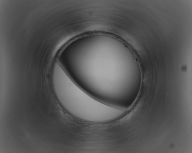 X0000095530877200712140932