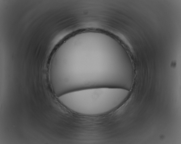 X0000095530879200712140932