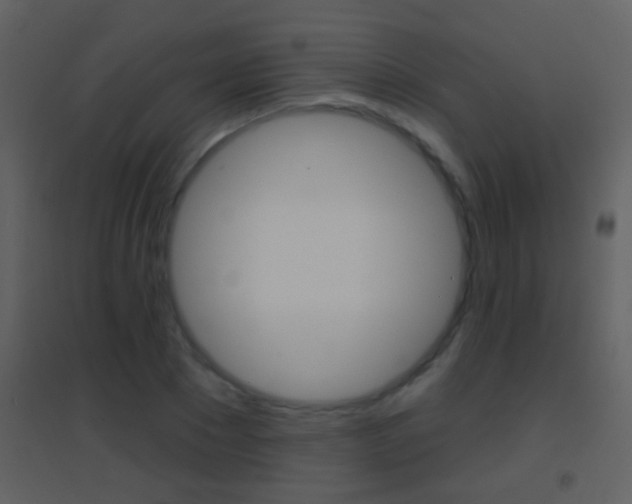 X0000095530881200712140932