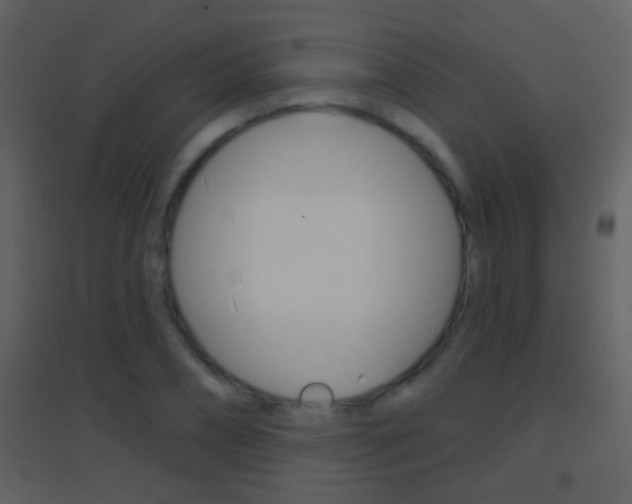 X0000095530882200712140932
