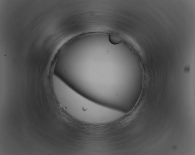 X0000095530883200712140932
