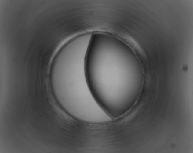 X0000095530884200712140932