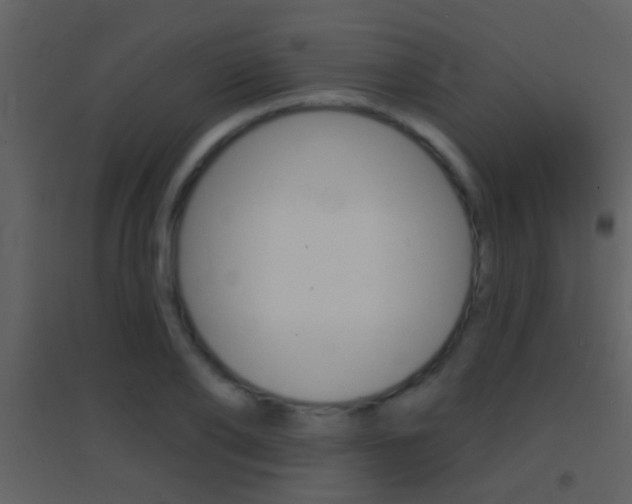 X0000095530886200712140932