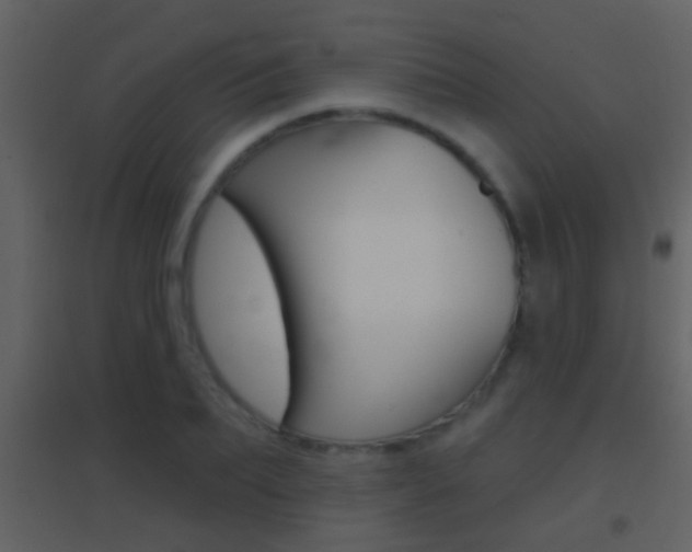 X0000095530887200712140932