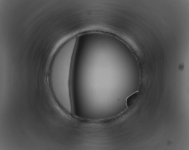 X0000095530888200712140932