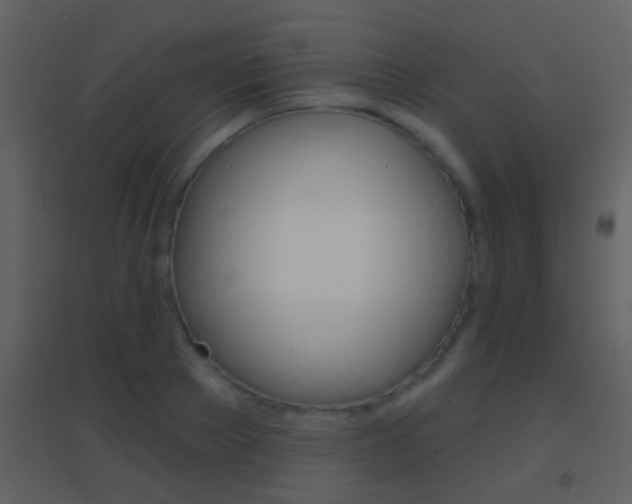 X0000095530889200712140932