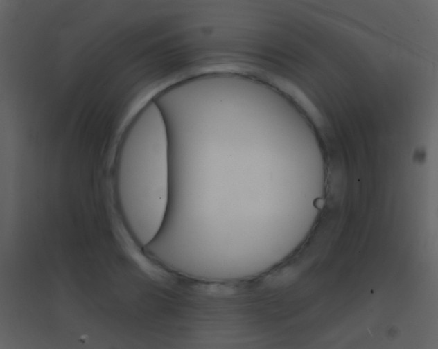 X0000095530890200712140932