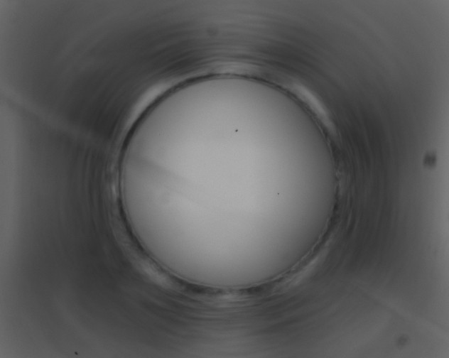 X0000095530891200712140932