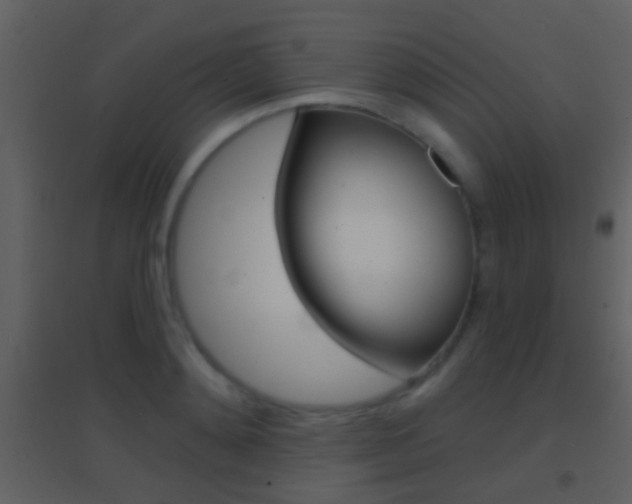 X0000095530892200712140932
