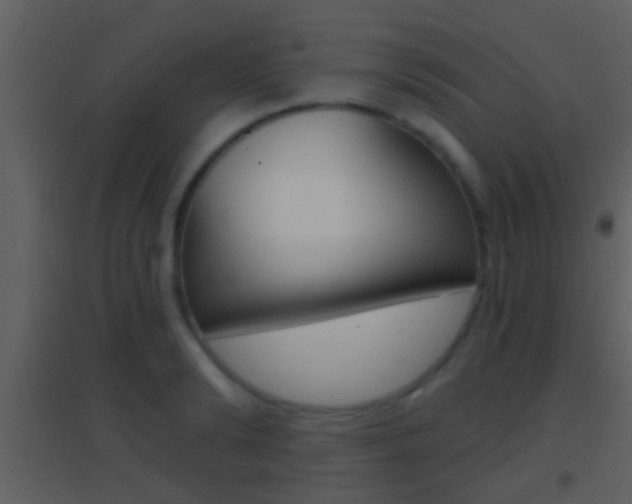 X0000095530894200712140932