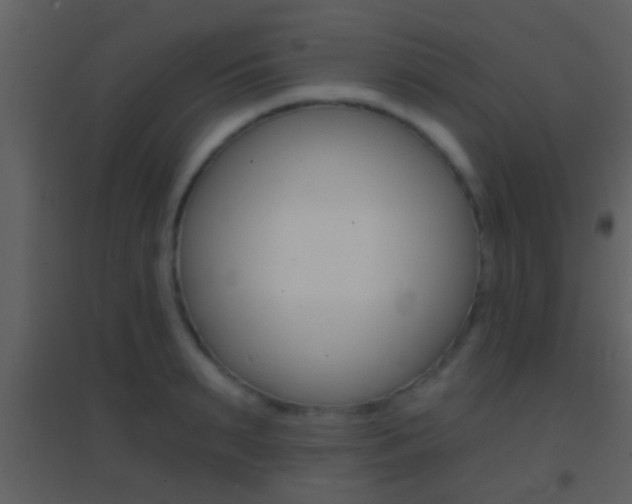 X0000095530895200712140932