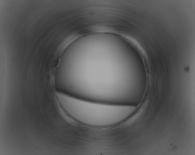 X0000095530897200712140931