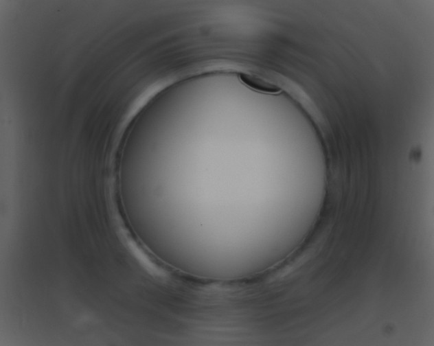 X0000095530898200712140931
