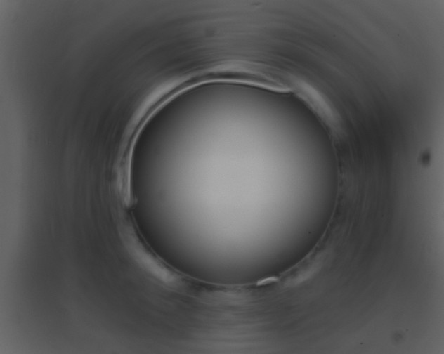 X0000095530900200712140931