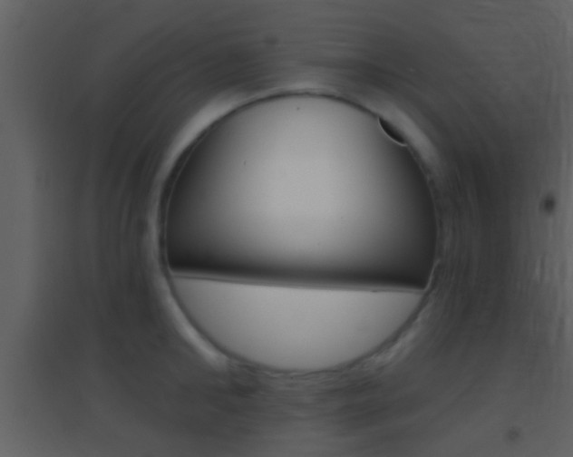X0000095530902200712140931