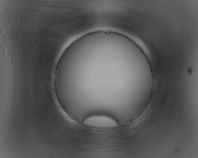 X0000095530903200712140931