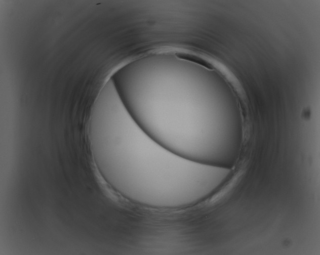 X0000095530905200712140931