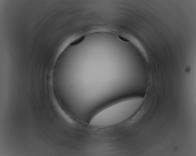 X0000095530906200712140931