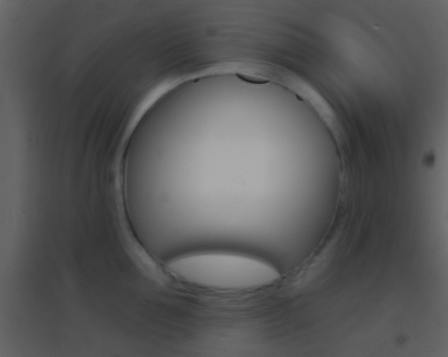 X0000095530907200712140931