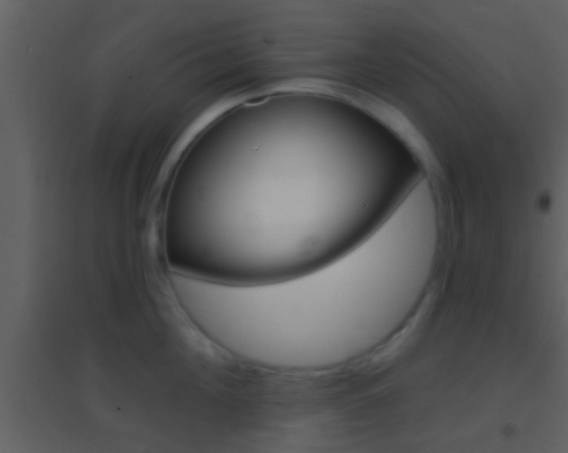 X0000095530908200712140931