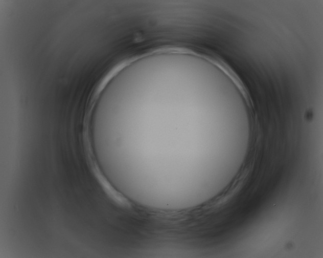 X0000095530909200712140931