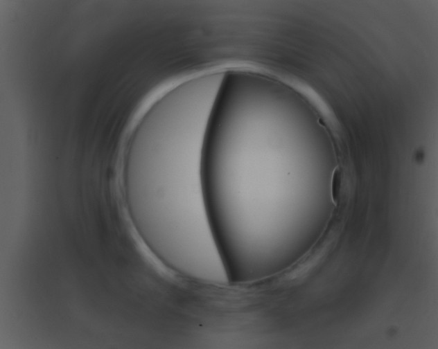 X0000095530910200712140931