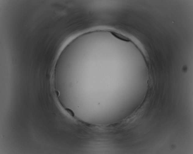 X0000095530911200712140931