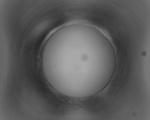 X0000095530912200712140931