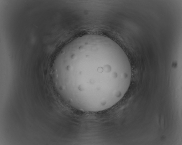X0000095530913200712140931