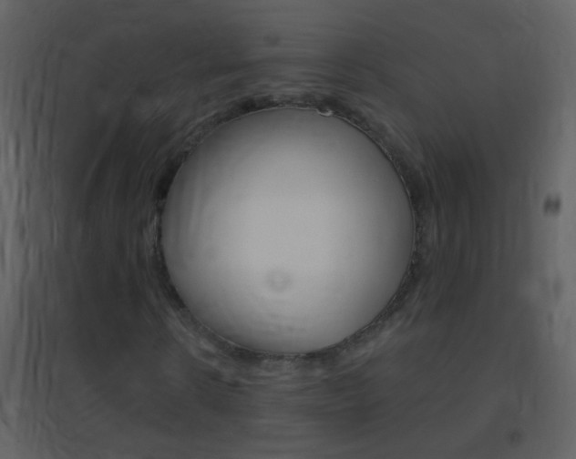 X0000095530914200712140931