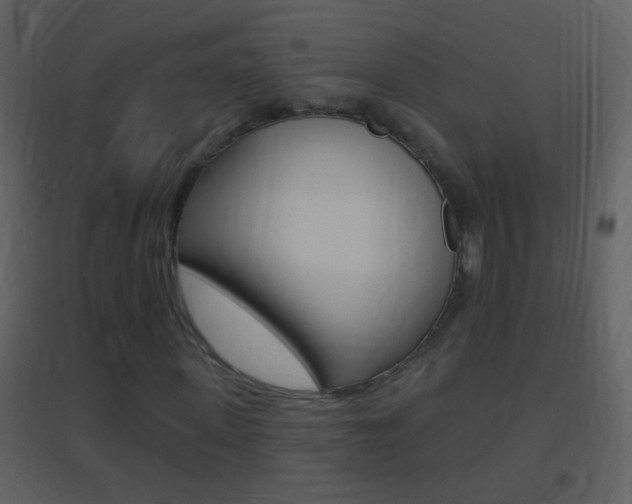X0000095530915200712140931