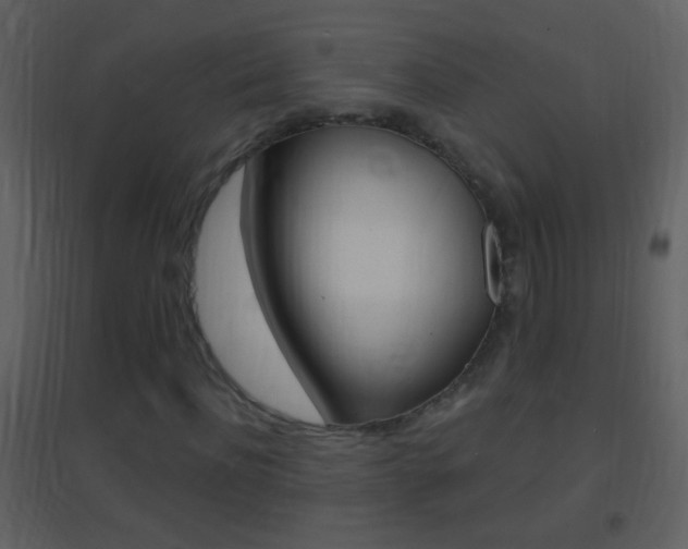 X0000095530916200712140931