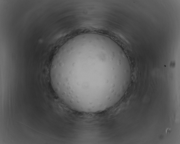 X0000095530917200712140931