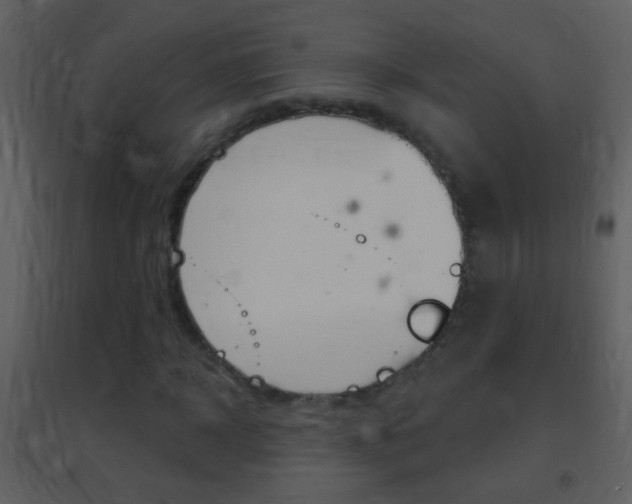 X0000095530918200712140931